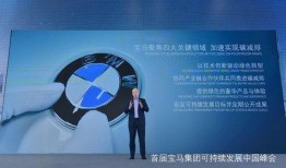 执行官最新爆料视频大全,视频大全深度解析