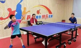 乒乓小将爆料视频大全最新,最新爆料视频大全精彩瞬间大盘点